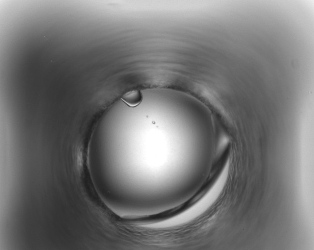 X0000089450685200706221247