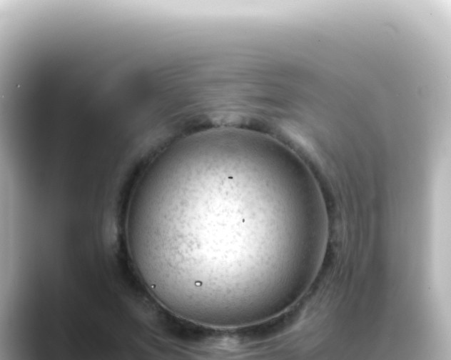X0000089450687200706221247