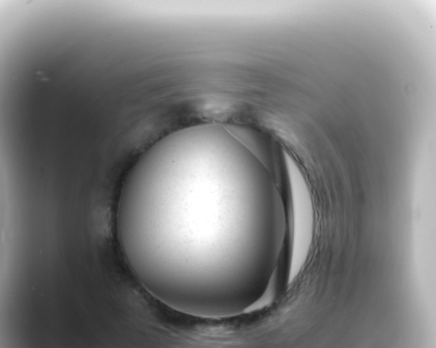 X0000089450689200706221247