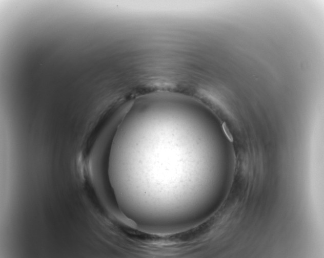 X0000089450692200706221247