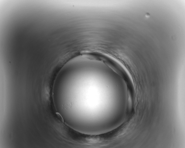 X0000089450693200706221247