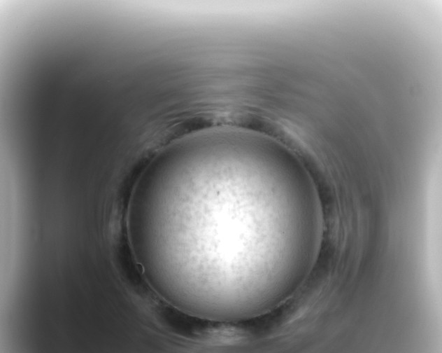 X0000089450695200706221247