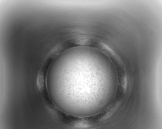 X0000089450696200706221247