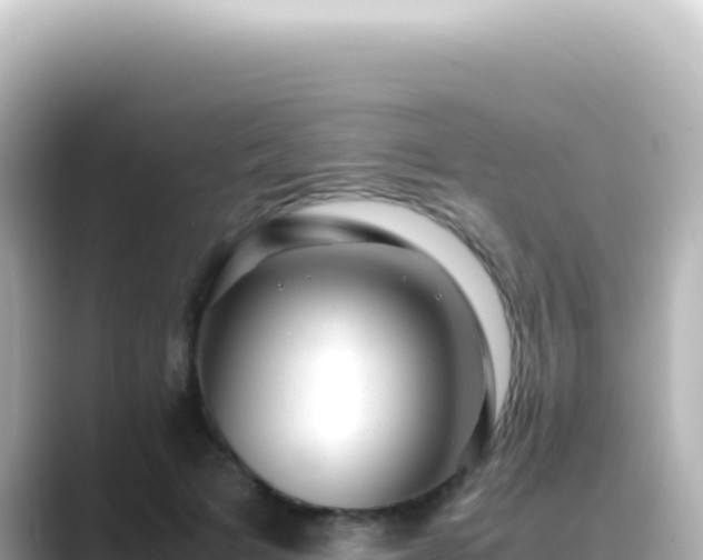 X0000089450697200706221247
