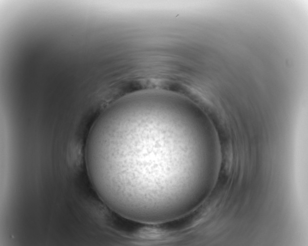 X0000089450699200706221247