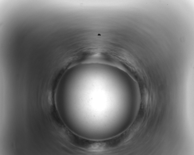 X0000089450700200706221247