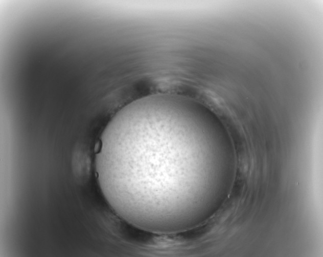X0000089450703200706221247