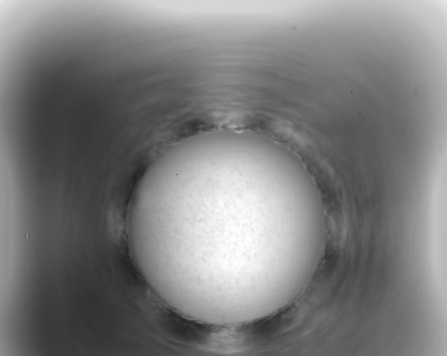 X0000089450705200706221247