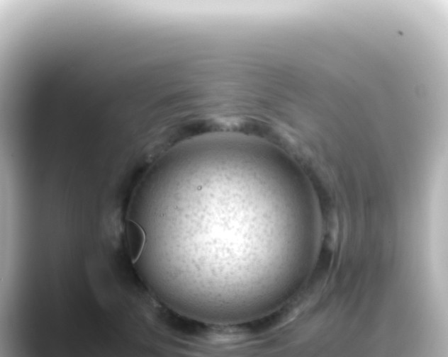 X0000089450707200706221247