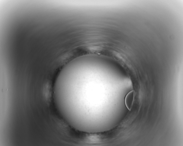 X0000089450710200706221247