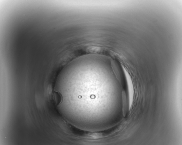 X0000089450711200706221247