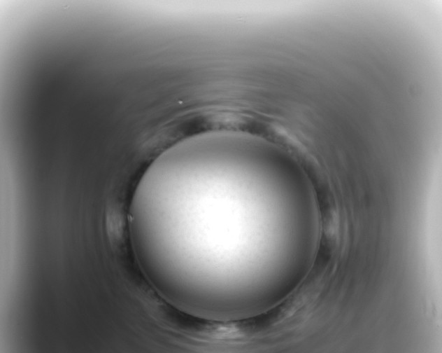 X0000089450715200706221247