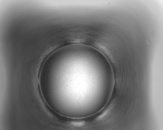 X0000089450721200706221246