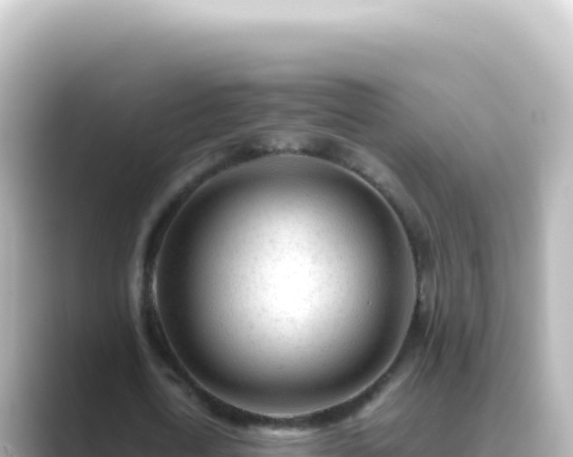 X0000089450722200706221246
