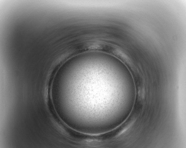 X0000089450725200706221246