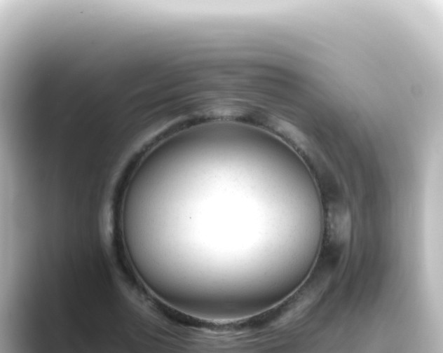 X0000089450726200706221246