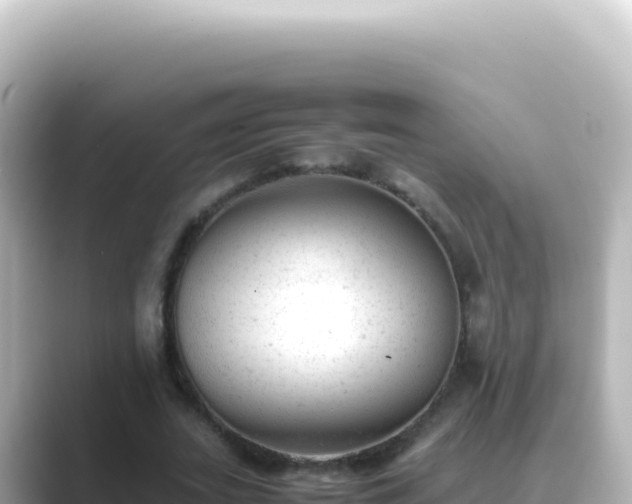 X0000089450727200706221246