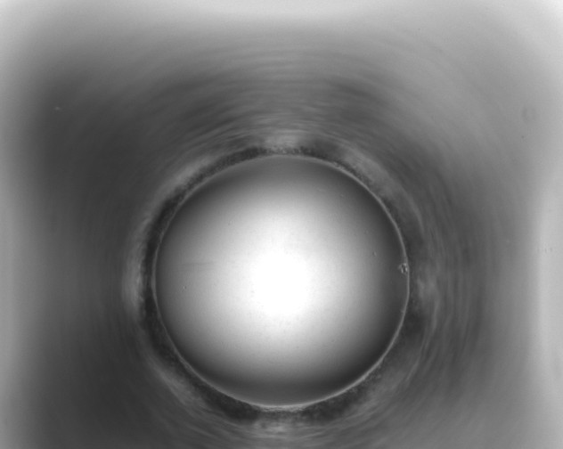 X0000089450728200706221246