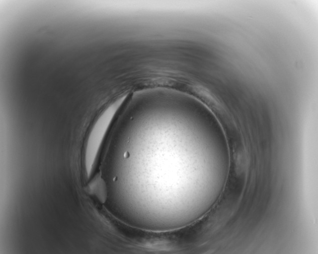 X0000089450729200706221246