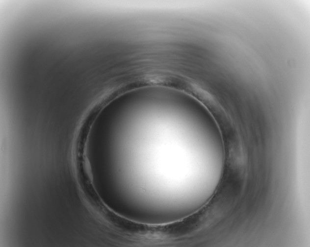 X0000089450730200706221246