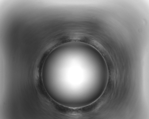 X0000089450731200706221246