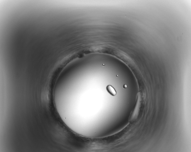 X0000089450732200706221246