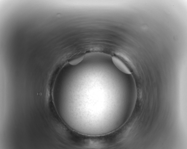 X0000089450733200706221246