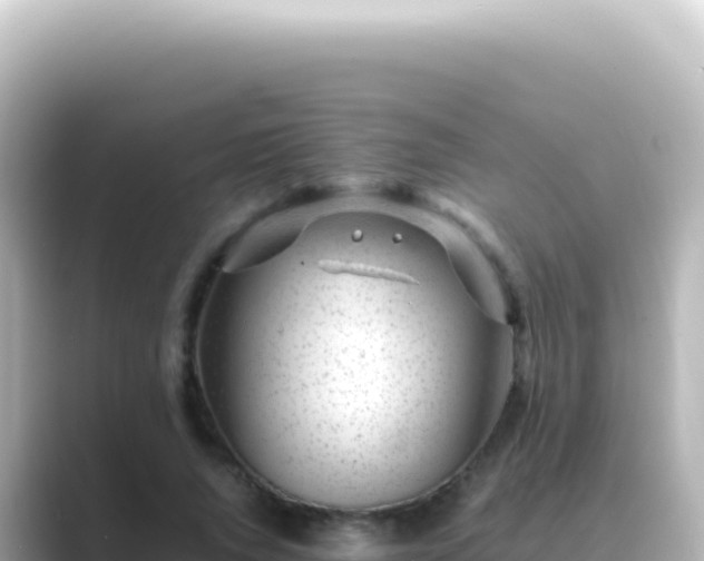 X0000089450736200706221247