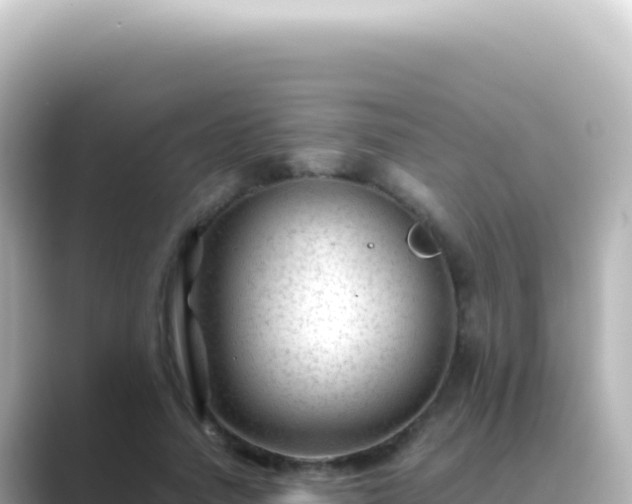 X0000089450738200706221247