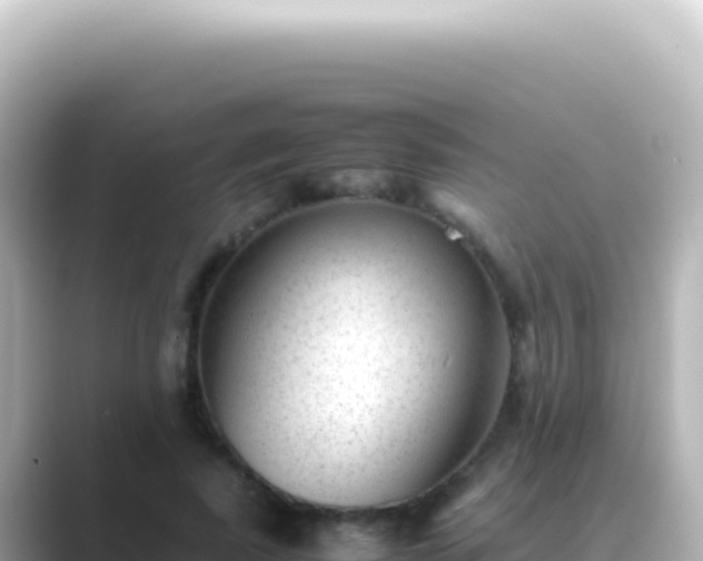 X0000089450739200706221247