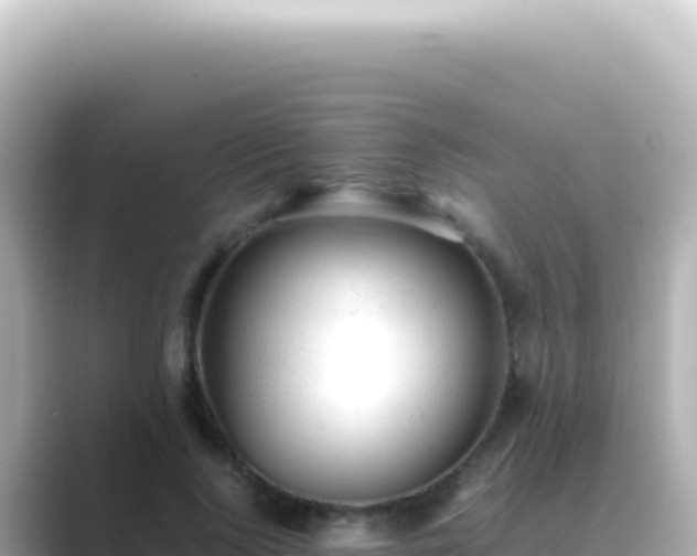 X0000089450740200706221247
