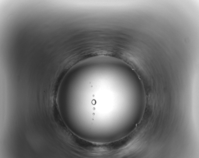 X0000089450741200706221247
