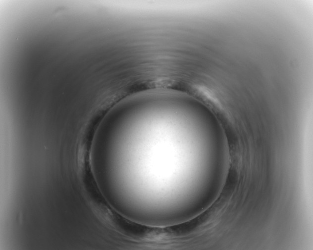 X0000089450742200706221247