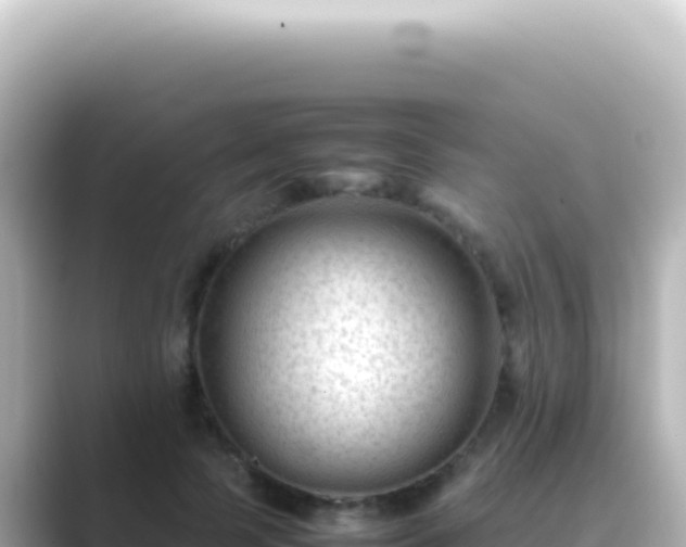 X0000089450745200706221247