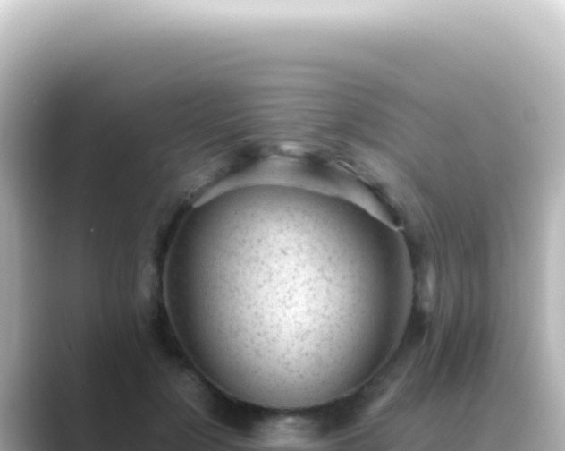 X0000089450748200706221247