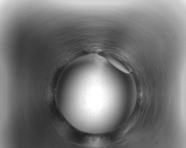 X0000089450751200706221247