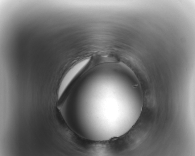 X0000089450756200706221247