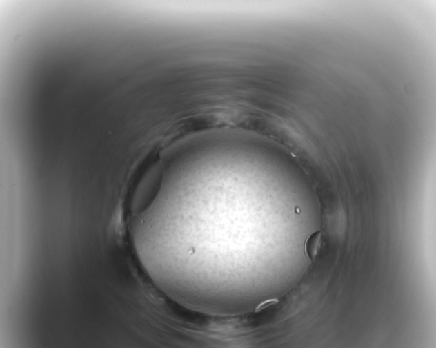 X0000089450757200706221247