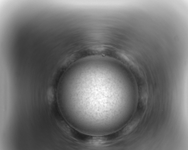 X0000089450758200706221247