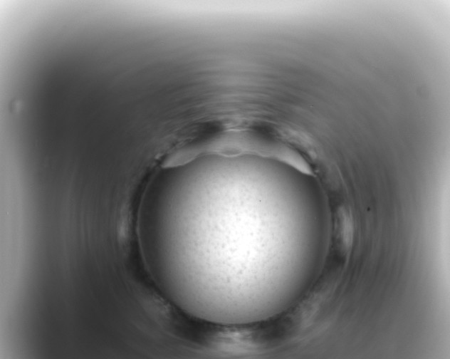 X0000089450760200706221247