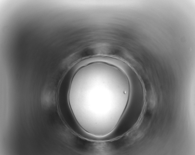 X0000089450762200706221247