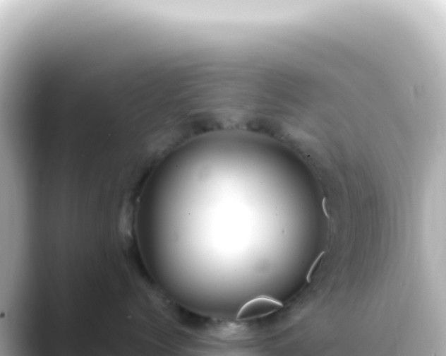 X0000089450768200706221247