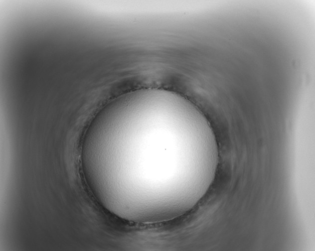 X0000089450769200706221246
