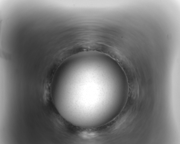 X0000089450770200706221246