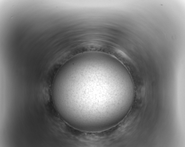 X0000089450774200706221246