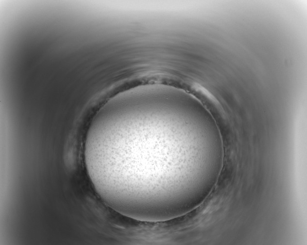X0000089450775200706221246