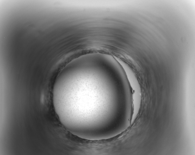 X0000089450776200706221246