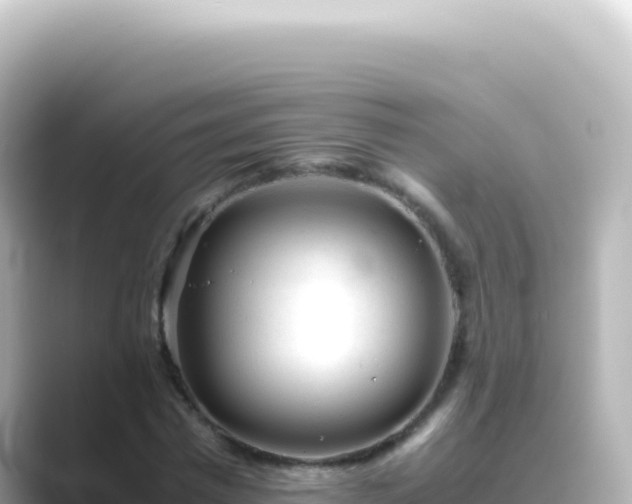 X0000089450777200706221246