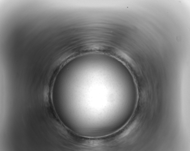 X0000089450778200706221246