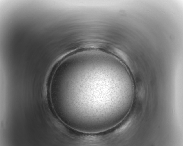 X0000089450779200706221246